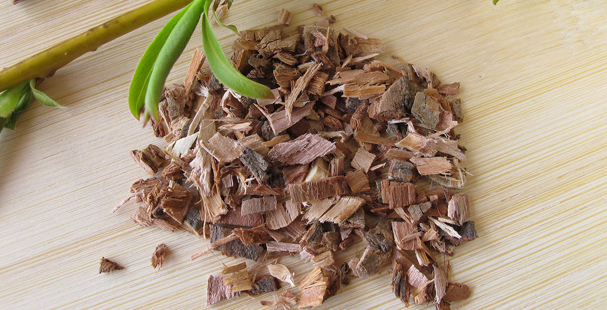 5 Reasons Why Willow Bark is the Best All Natural Pain Reliever